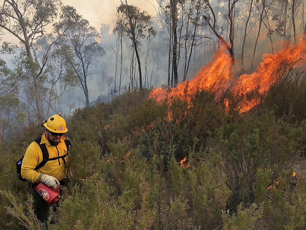 Australian MP Steggall: politics is adapting to climate change, voters increasingly recognise the cost of climate inaction